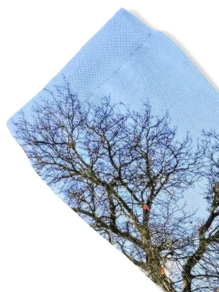 Landscape & Architecture Socks - مراجعة Women'S Shoes For Crews وسعره