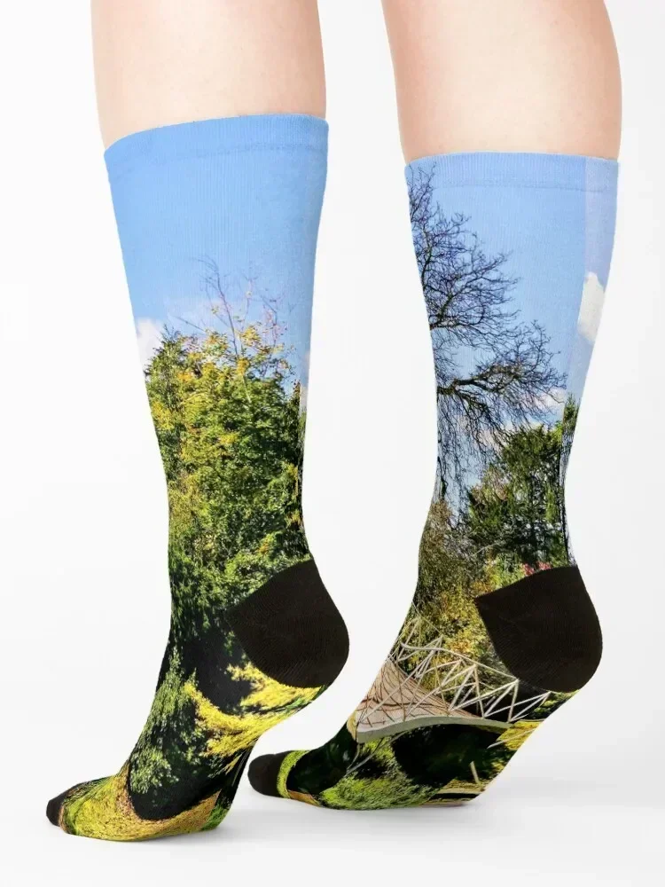 Landscape & Architecture Socks - مراجعة Women'S Shoes For Crews وسعره